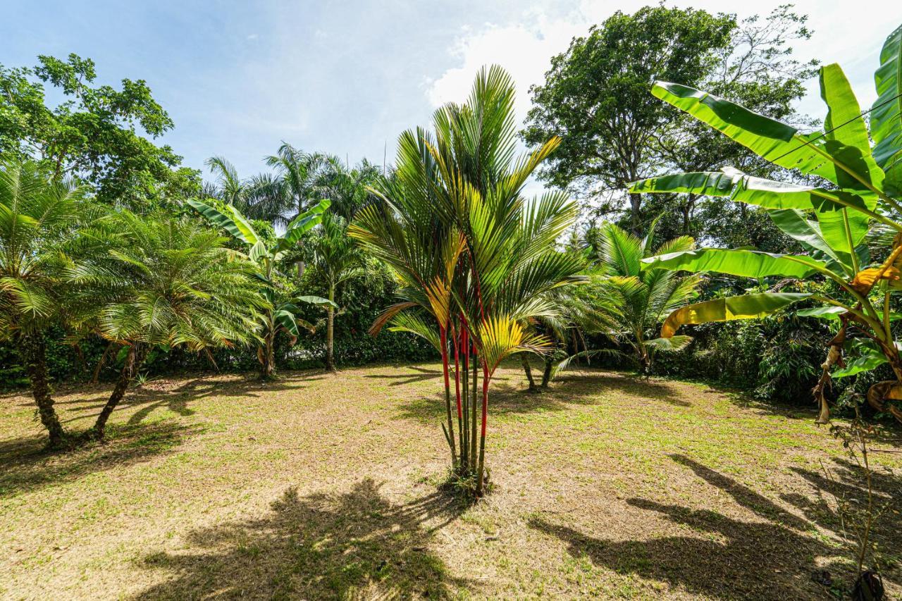Bed and Breakfast Sol Y Sombra Bocas del Toro Exterior foto